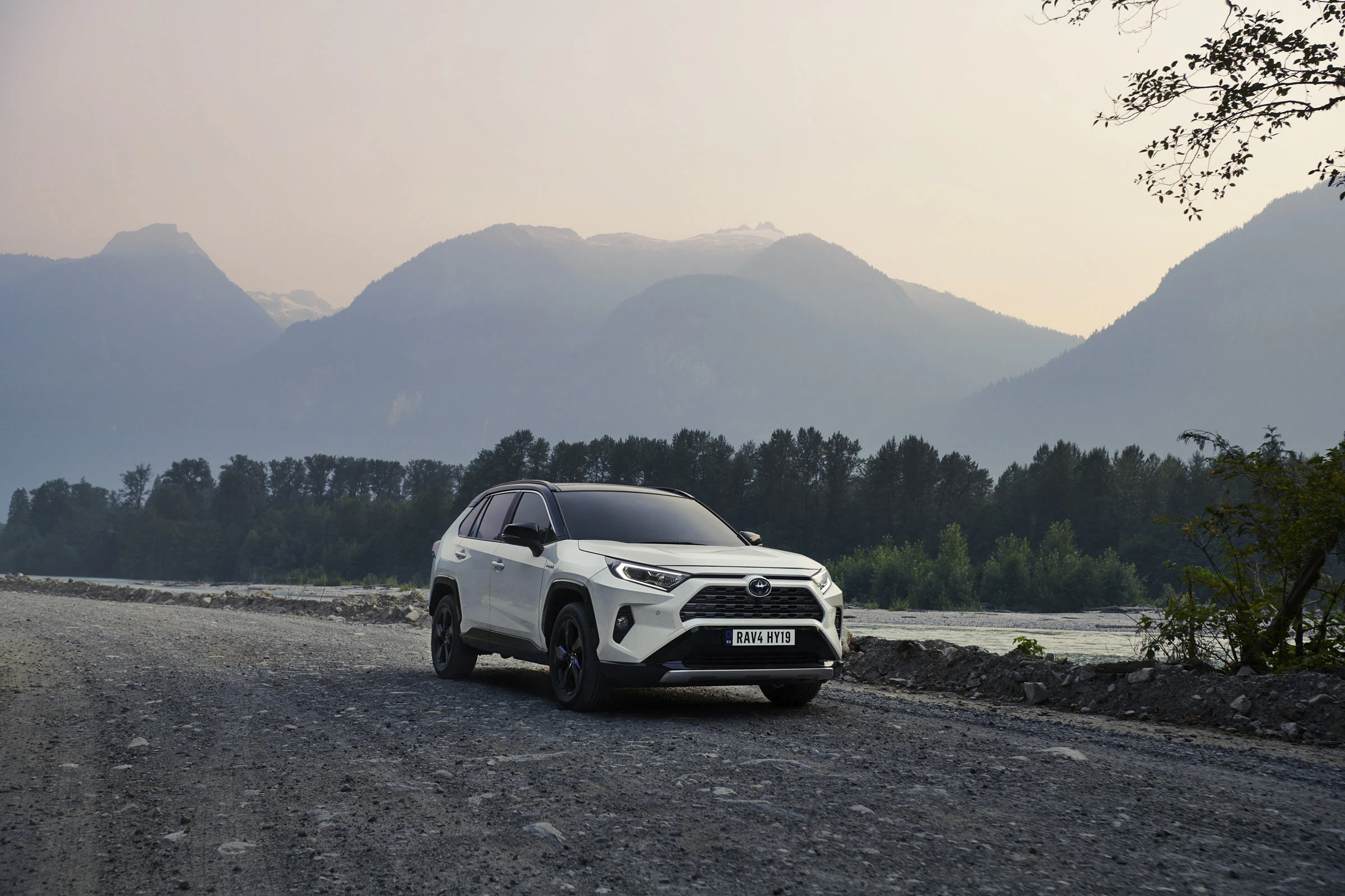 RAV4 Hybrid